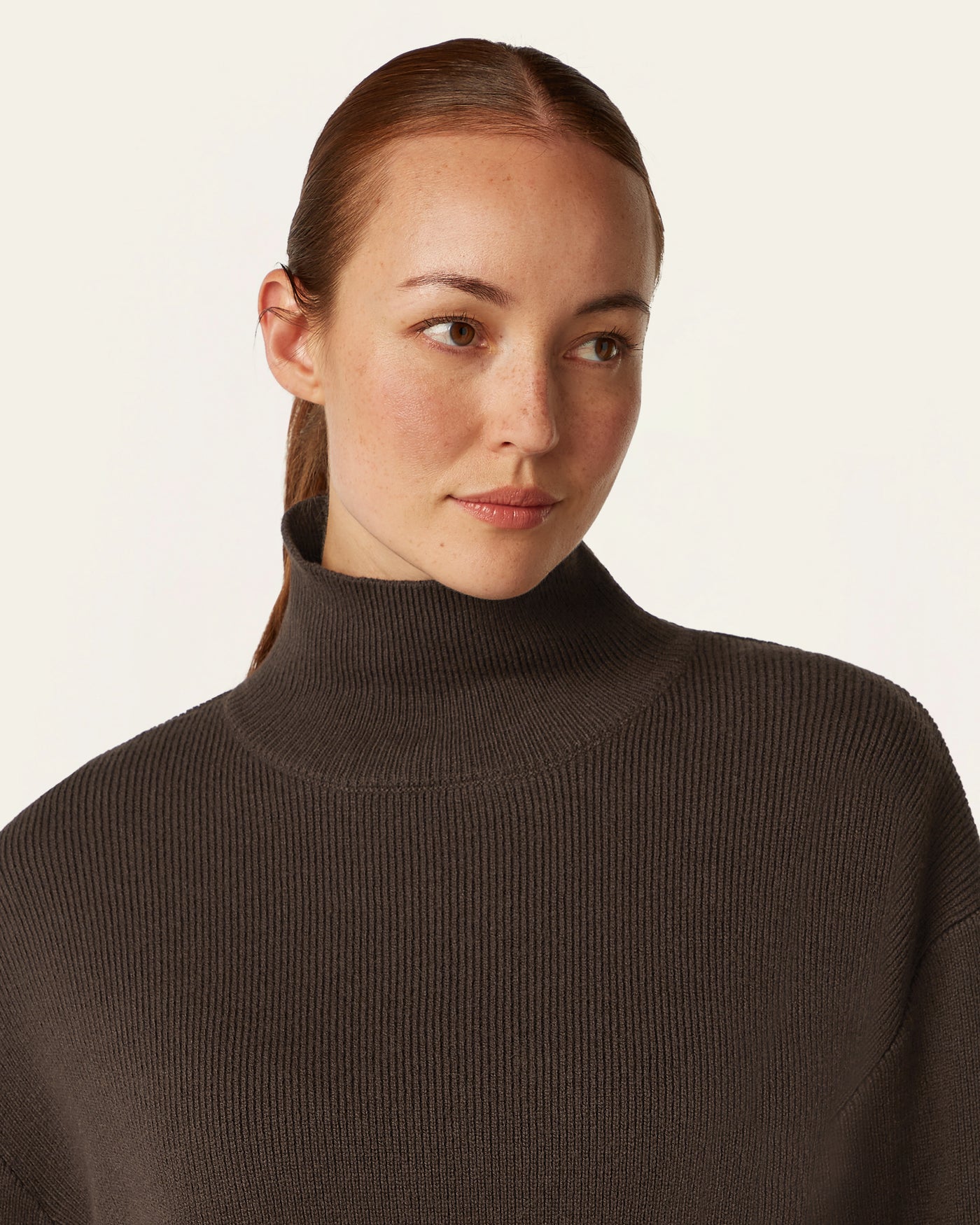 Heavy Seawool Turtleneck - Dark Brown