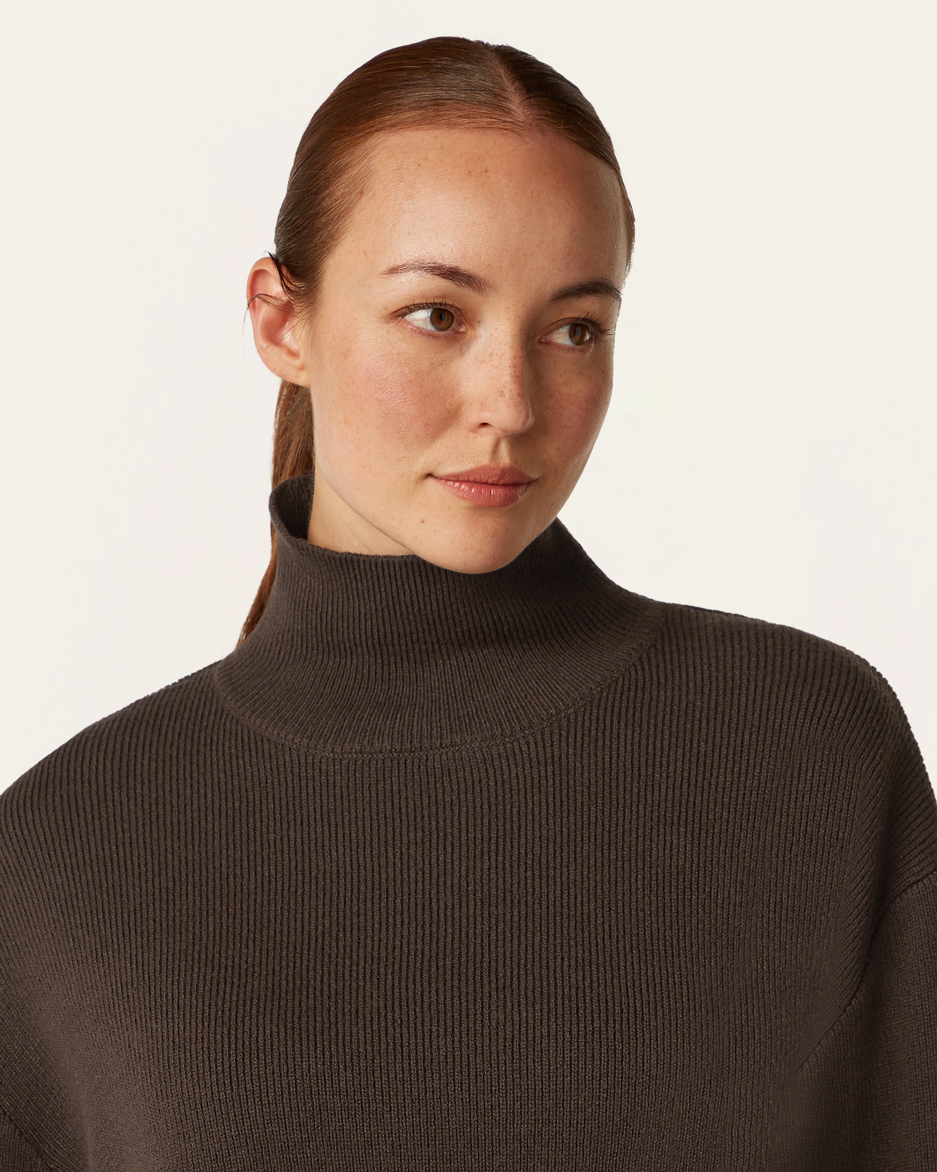 Heavy Seawool Turtleneck - Dark Brown